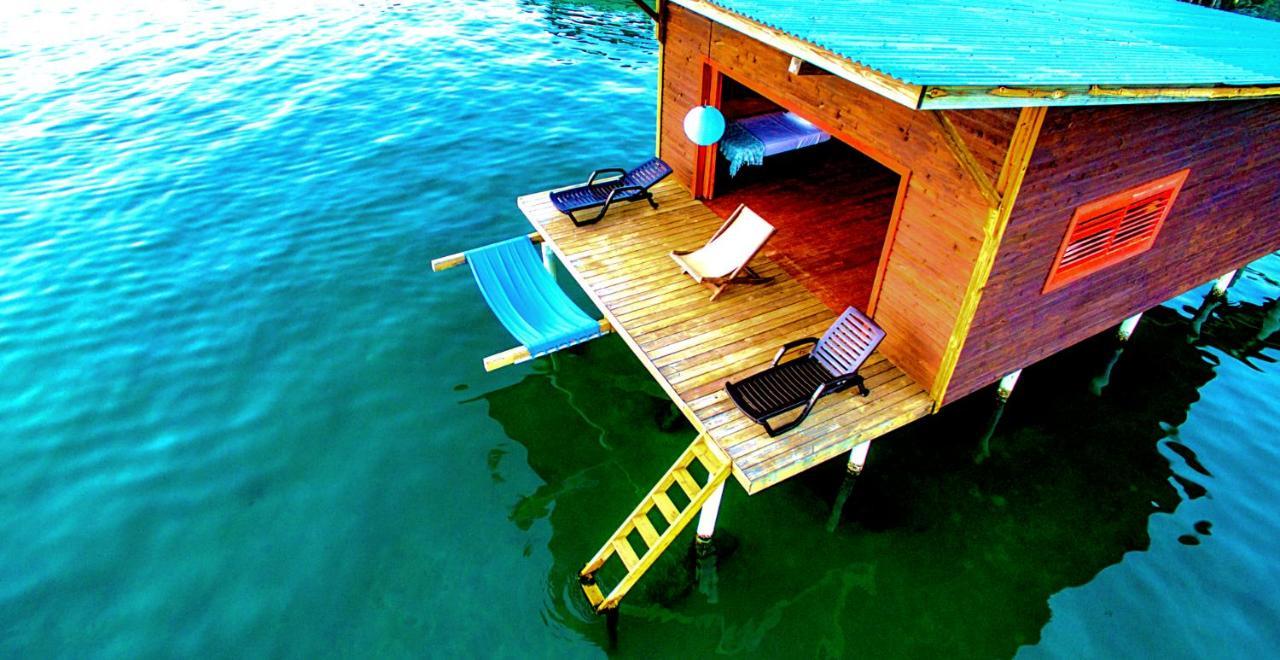 Hotel The Sea Monkey à Bocas del Toro Extérieur photo