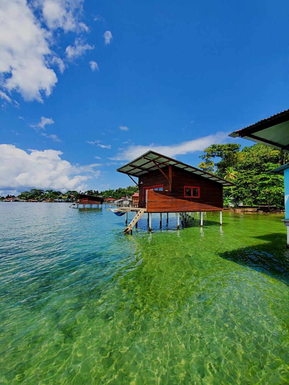 Hotel The Sea Monkey à Bocas del Toro Extérieur photo