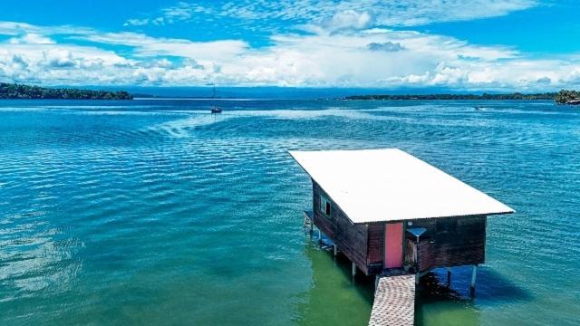 Hotel The Sea Monkey à Bocas del Toro Extérieur photo